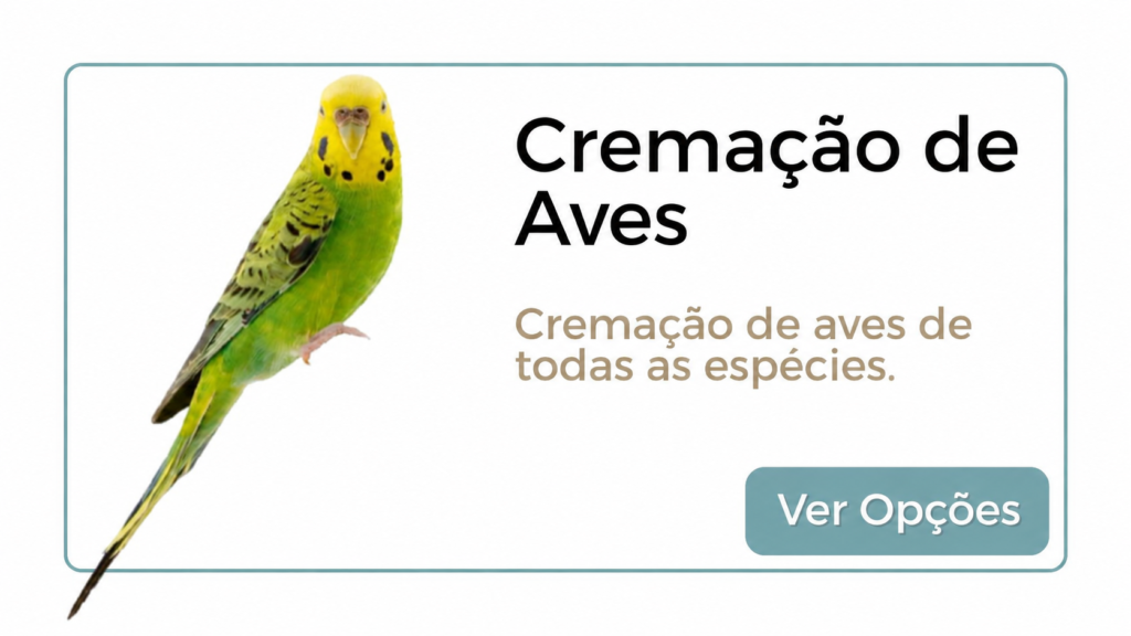 Crematório pet Memorial Pet